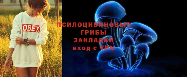 дурь Каменск-Шахтинский