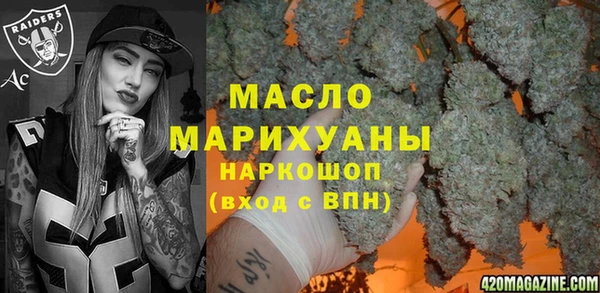 дживик Каменка