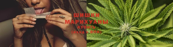 дживик Каменка