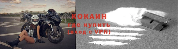 дживик Каменка