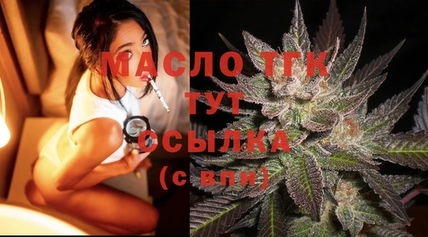 дживик Каменка