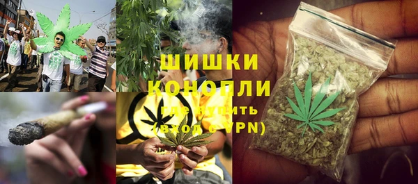 бошки Каменногорск