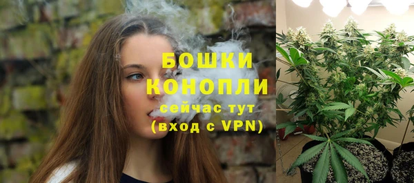 дживик Каменка