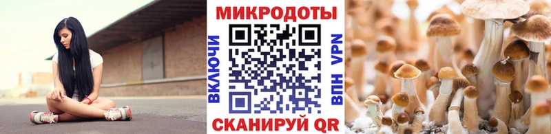 Псилоцибиновые грибы Psilocybe Купить закладки Гусь-Хрустальный